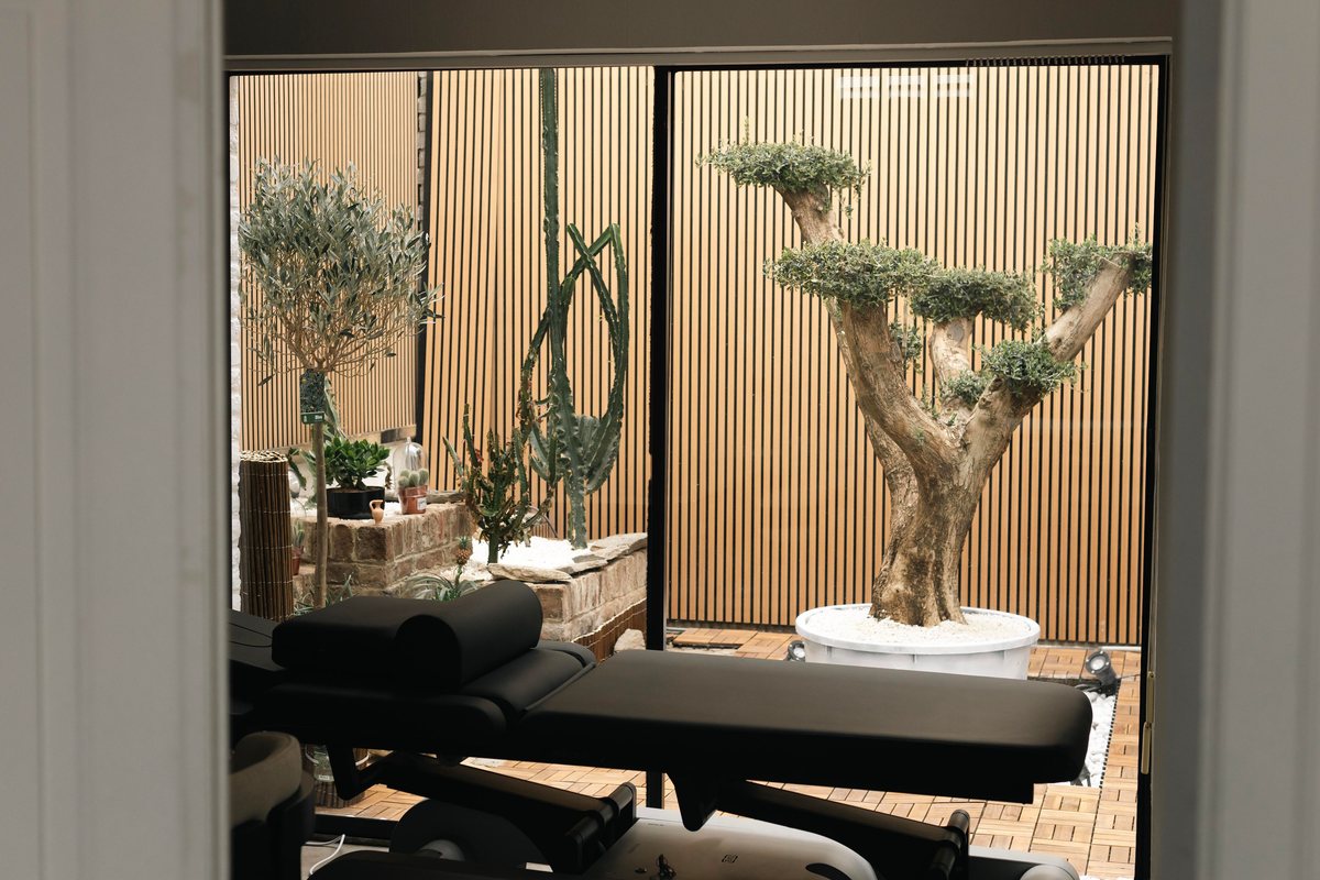 Vue sur le jardin zen depuis la salle de soins